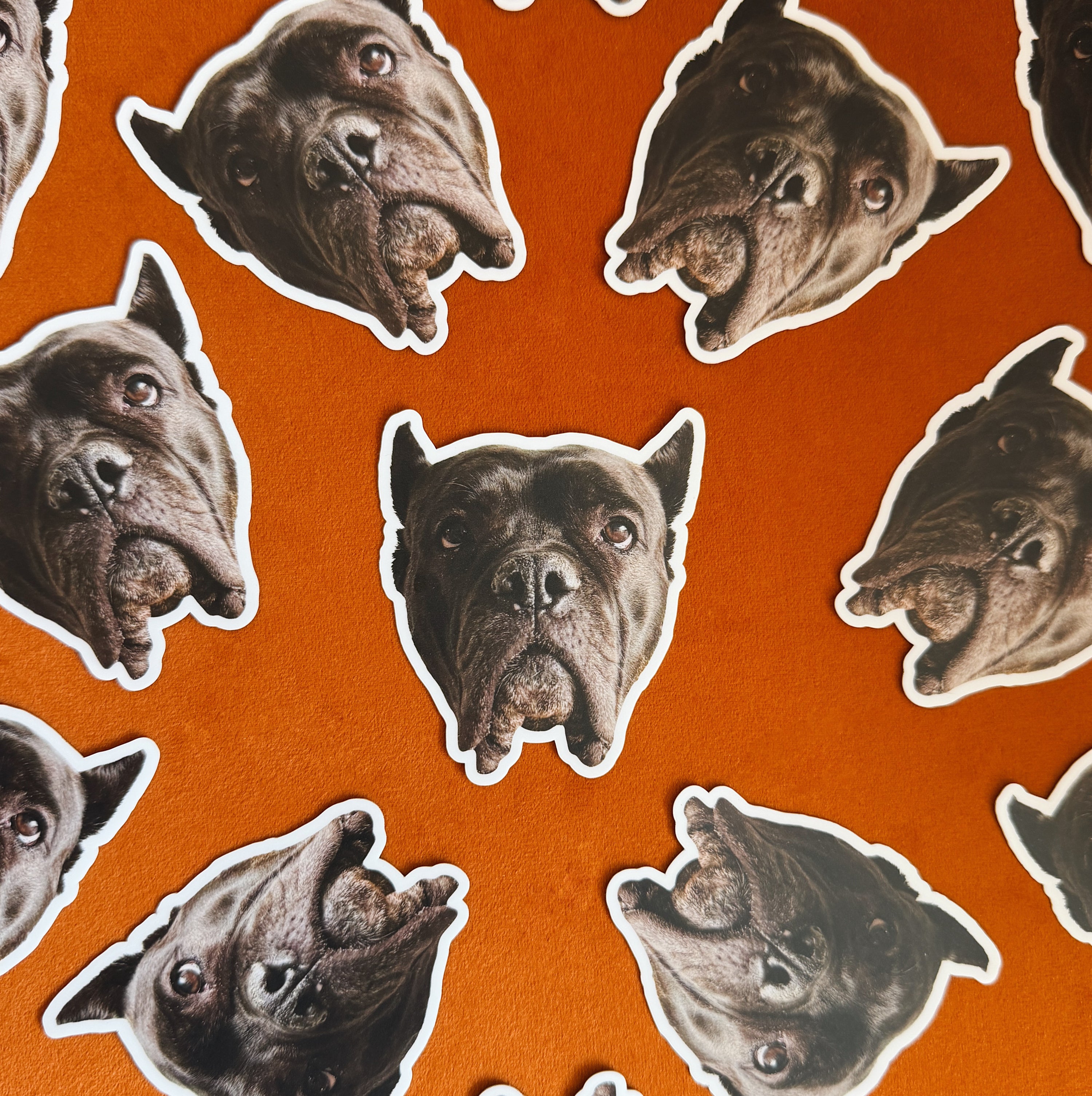 Luna Dog Sticker