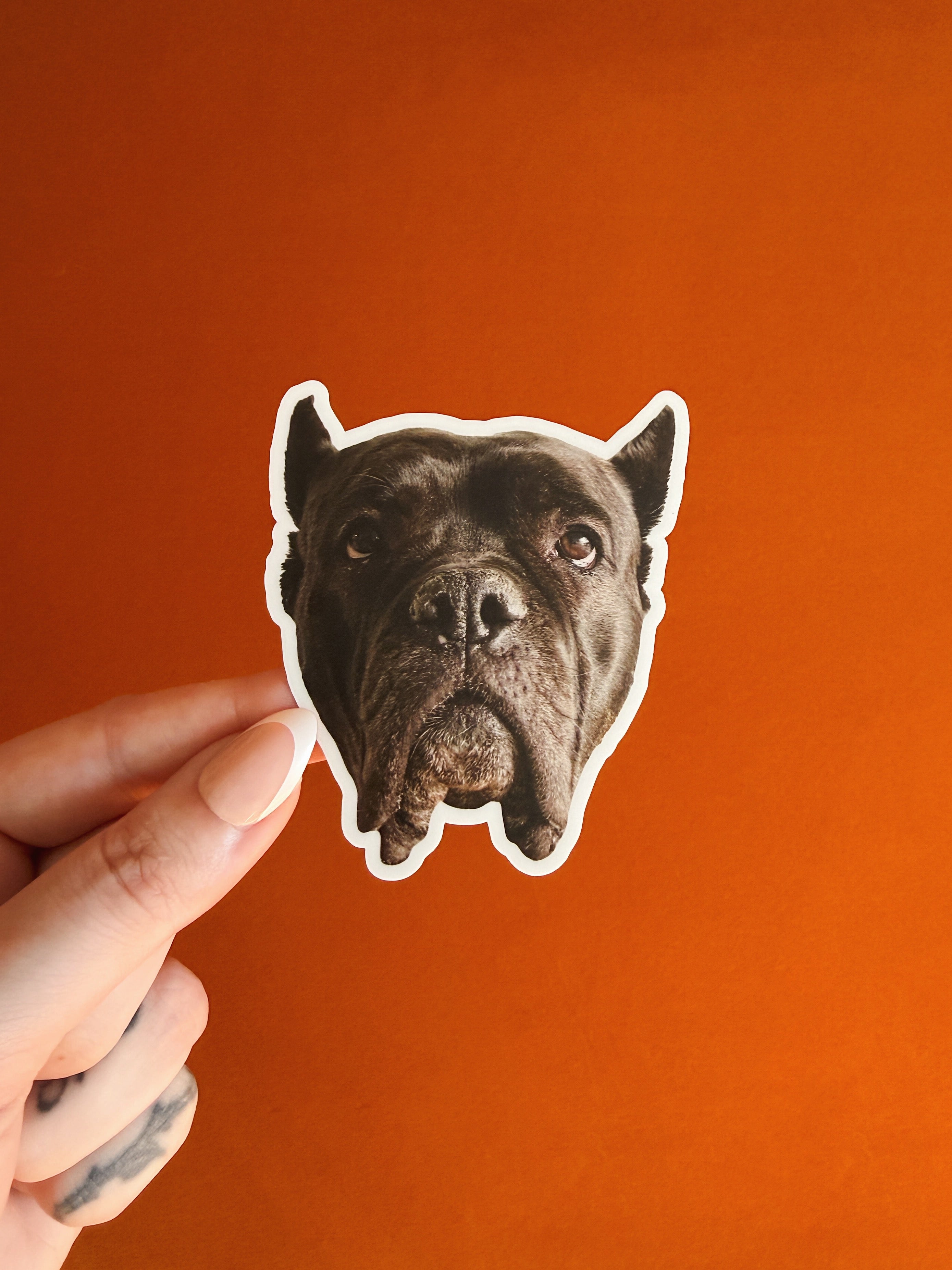 Luna Dog Sticker